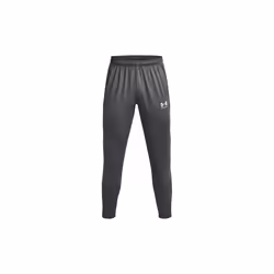 Jogging training Under Armour Challenger