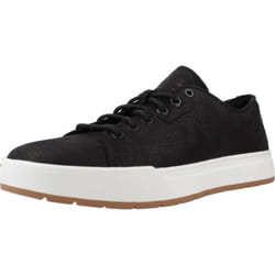 Timberland modèle Maple Grove Low Lace U Noir