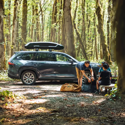 Thule Force 3 L Coffre de toit rigide Noir - Vue supplémentaire 5