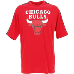 T-shirt Chicago Bulls NBA Color Block