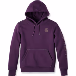 Carhartt Clarksburg Logo Sweat à capuche pour dames, pourpre, taille S pour Femmes
