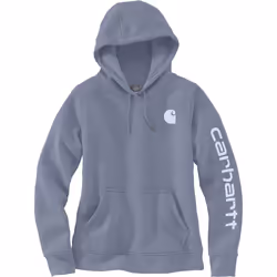 Carhartt Clarksburg Logo Sweat à capuche pour dames, gris-bleu, taille L pour Femmes