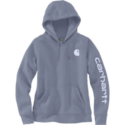 Carhartt Clarksburg Logo Sweat à capuche pour dames, gris-bleu, taille L pour Femmes