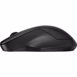 HP 255 Dual Wireless Mouse, Ambidextre, Optique, RF sans fil + Bluetooth, 1600 DPI, Noir