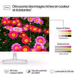 HP Series 5 23.8 inch FHD Monitor with Speakers - 524sa - Vue supplémentaire 9