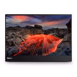 Lenovo ThinkVision M14t, 35,6 cm (14"), 2240 x 1400 pixels, LED, 8 ms, Noir