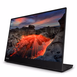 Lenovo ThinkVision M14t écran plat de PC 14" LED Écran tactile Noir