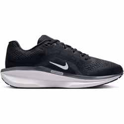 Chaussures Nike Wmns Air Winflo 11 FJ9510