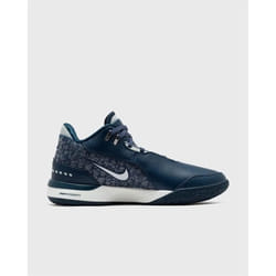 Chaussures Nike Zm Lebron Nxxt Gen Ampd 400 FJ1566400
