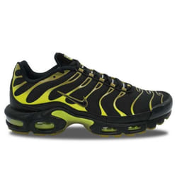 Nike Air Max Plus TN Pacific Moss - DM0032-010_475