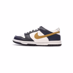 Baskets Bleu/Marron Junior Nike Dunk Low