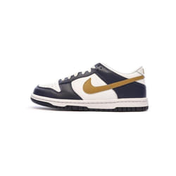 Baskets Bleu/Marron Junior Nike Dunk Low
