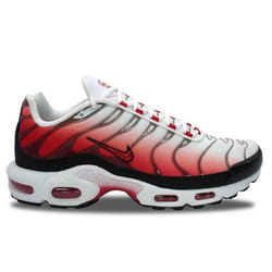 Nike Air Max Plus TN Gym Red - HM9611-100_45