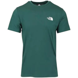 The North Face T-shirt pour Homme Simple Dome Vert NF0A87NG6GI