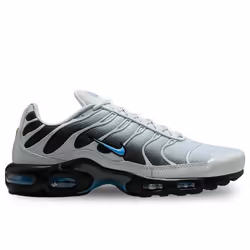Nike Air Max Plus Chaussures pour Homme Gris DM0032-015