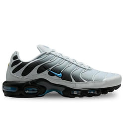 Nike Air Max Plus Chaussures pour Homme Gris DM0032-015