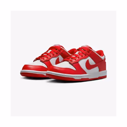 Baskets Nike Dunk Low Enfants