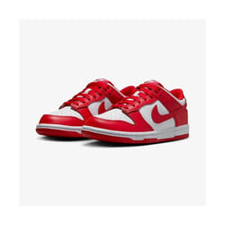 Baskets Nike Dunk Low Enfants