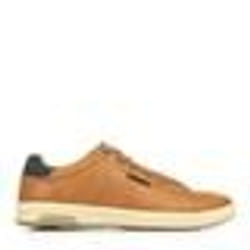 Skechers Cavell Hensley Baskets homme