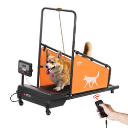 Tapis de Marche pour Chiens de Taille Moyenne-VEVOR-Charge 90 kg-Tapis de Course Électrique avec 3 Rampes Réglables