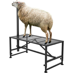 Vevor - Support deelevage pour chevres et moutons, dimensions 51 x 23 pouces, construit a partir de metal durable, hauteur reglable de 21 pouces a 33