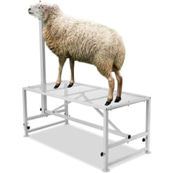 Vevor - Support a betail pour chevres et moutons, 47 x 23 pouces, cadre en metal durable pour la traite et la tonte, hauteur reglable de 21' a 33',