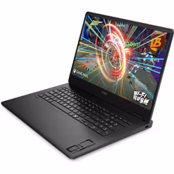 HP OMEN 17-db0051nf Ryzen 7 8845HS 17.3" Full HD 16Go 512Go SSD RTX 4060 Noir