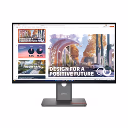 Lenovo ThinkVision P27QD-40, 68,6 cm (27"), 2560 x 1440 pixels, Wide Quad HD, LED, 6 ms, Noir