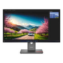 Lenovo ThinkVision P32UD-40 écran plat de PC 80 cm (31.5") 4K Ultra HD LCD Noir