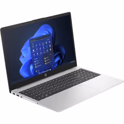 HP 250 G10 i3-1315U 15.6" Full HD 8Go 256Go SSD Argent