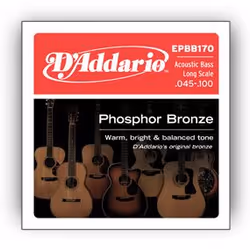 D'Addario EPBB170, Guitare, Acier, Basse acoustique, 4 pièce(s)