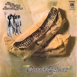 Music On Vinyl The Flying Burrito Brothers - Burrito Deluxe, Vinyl, Vinyl, The Flying Burrito Brothers, Support physique, 25/ ...