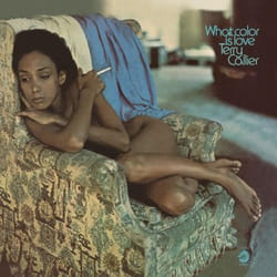 Music On Vinyl Terry Callier - What Color Is Love, Vinyl