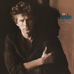 Universal Music Don Henley, Building The Perfect Beast, Rock, LP, Don Henley, Support physique, Adultes, Universal Music