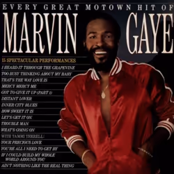 Universal Music Marvin Gaye, Every Great Motown Hit Of Marvin Gaye, Musical, LP, Marvin Gaye, 51 min, Support physique, Adult ...