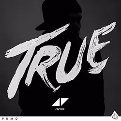 Virgin Records True, Danse, Vinyl, Avicii, Club/Dance, EDM, Support physique, Adultes