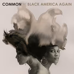 ImportCDs Black America Again, R&amp;B, CD, Support physique, Adulte, 1 disques, 03/11/2016