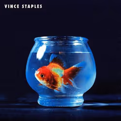 ImportCDs Big Fish Theory, R&B, Vinyl, Support physique, Adulte, 2 disques, 26/10/2017