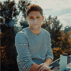 Universal Music Niall Horan - Flicker, CD Pop