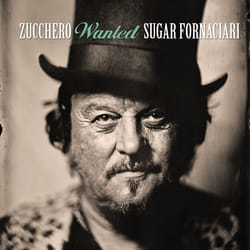 Universal Music Zucchero - Wanted (The Best Collection), 3CD + DVD DVD/CD Rock