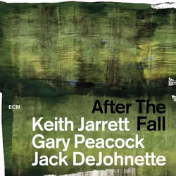 ImportCDs After the Fall, Jazz, CD, Support physique, Adulte, 2 disques, 02/03/2018