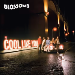 ImportCDs Cool Like You, Pop rock, CD, Support physique, Adulte, 1 disques, 26/04/2018