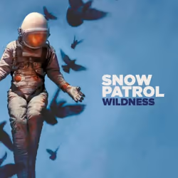 ImportCDs Wildness, Pop rock, CD, Support physique, Adulte, 1 disques, 24/05/2018