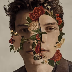 ImportCDs Shawn Mendes, Pop rock, CD, Support physique, Adulte, 1 disques, 24/05/2018