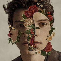 ImportCDs Shawn Mendes CD Pop rock