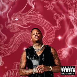 ImportCDs Stay Dangerous CD R&B
