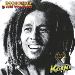 ImportCDs Kaya 40 Vinyl R&B