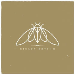 ImportCDs Cicada Rhythm CD Américaine