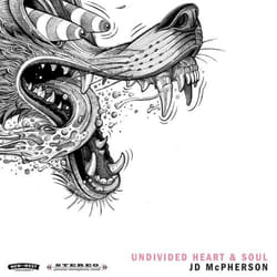 ImportCDs Undivided Heart & Soul Vinyl Américaine
