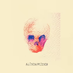 ImportCDs ATW, Pop rock, Vinyl, Support physique, Adulte, 2 disques, 11/10/2018